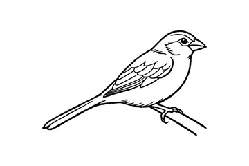 Line art vector illustration of a sparrow perched on a branch.eps