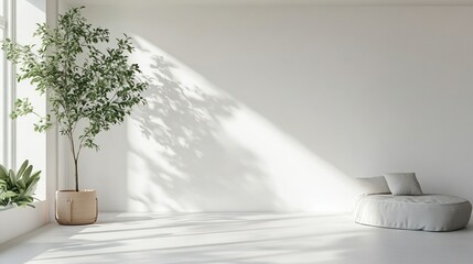 Minimalist sunlit living room with plant