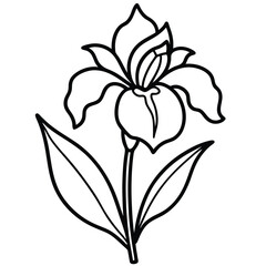 Iris flower with leaf isolated on white background