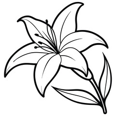 Lily flower with leaf isolated on white background