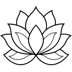 Lotus flower with leaf isolated on white background