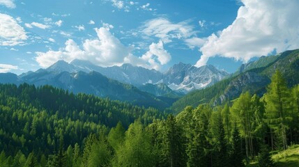 Fototapeta premium The mountains are covered in lush green trees and the sky is clear and blue
