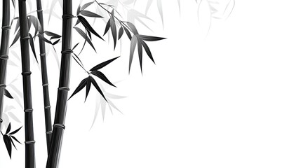 Abstract black and white bamboo graphic art,  background use