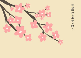 pink cherry blossom, Sakura branch, Japanese Flower poster