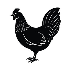 hen vector illustration