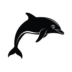 dolphin vector illustration
