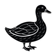 duck vector illustration