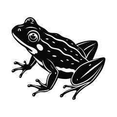 frog vector illustration