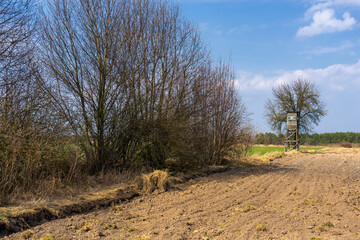 Wiosna w Narwiańskim Parku Narodowym, Podlasie, Polska