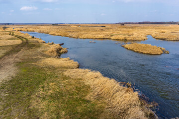 Wiosna w Narwiańskim Parku Narodowym, Podlasie, Polska