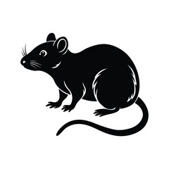 rat vector illustration