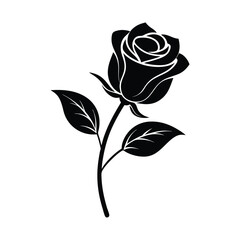  rose bud vector illustration