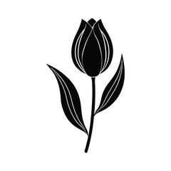 vector illustration of a tulip