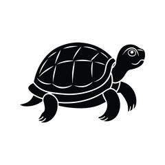 turtle vector illustration