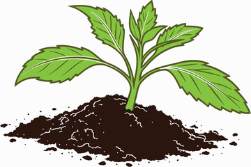 49 Young plant seedling, vibrant green leaves, rich dark soil, mound of earth, white background, macro photography, high detail, crisp focus, organic growth, new life, gardening, botany study, isolate