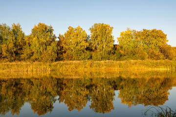 River landscape on a sunny autumn morning. The serenity and tranquility of an autumn morning on the banks of a narrow rural river.