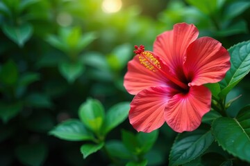 Vibrant tropical hibiscus, lush foliage, endless repeat , design, background