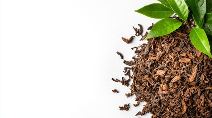 Loose tea leaves with fresh green tea leaves on a white background