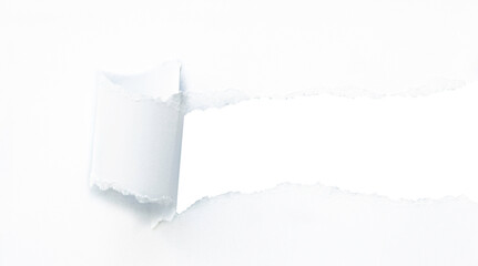 Paper banner with torn hole and rolled edge. Realistic picture of ripped and folded strip or piece of notepad or cardboard page sheet with frame for text. Broken scrap with curled fragment.