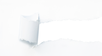 Paper banner with torn hole and rolled edge. Realistic picture of ripped and folded strip or piece of notepad or cardboard page sheet with frame for text. Broken scrap with curled fragment.