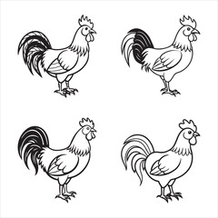 Rooster Line Art Illustrations