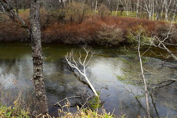 Senjogahara Marshland in Oku-nikko, Tochigi, Japan