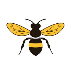 Simple bee illustration, vector graphic for educational materials