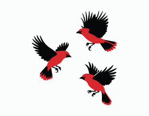 Fototapeta premium Scarlet Tanager Silhouette Isolated EPS Template