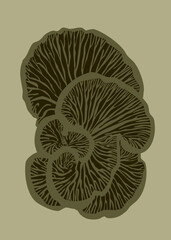vector illustration of a mushroom