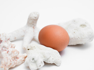 Easter eggs on a white background: freshness and traditions in one frame