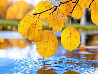 A golden branch drapes over cerulean waters, reflecting the beauty of nature du a vibrant autumn season by the lake