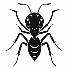 Vector illustration of an ant
