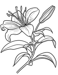 Elegant Lily Flower Coloring Pages – Printable Botanical Art