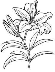 Elegant Lily Flower Coloring Pages – Printable Botanical Art