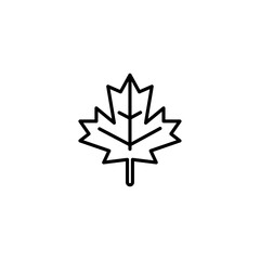 Maple leaf icon vector graphics