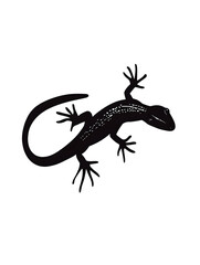 Fototapeta premium Lizard Reptile Wildlife: Black Silhouette Gecko Illustration in Natural Habitat
