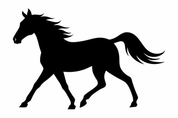 Fototapeta premium horse black silhouette vector