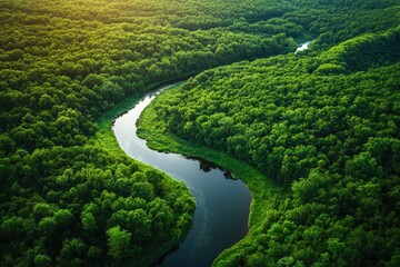 Lush river winding through verdant forest. Aerial view of a meandering river flowing through a dense, healthy forest.  Tranquil and serene natural beauty