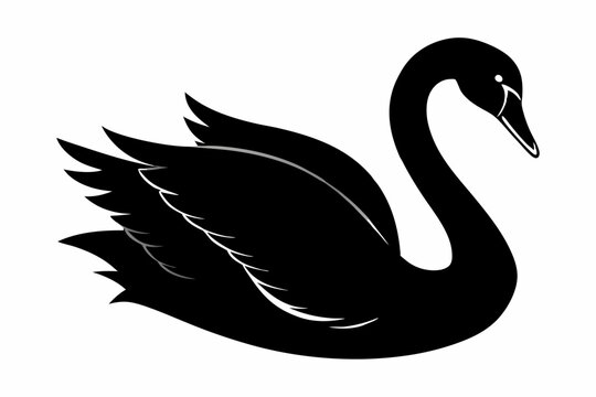 trumpeter swan silhouette black vector