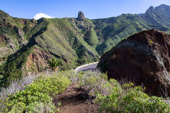 Mountain road TF-134, Anaga, Island Tenerife, Canary Islands, Spain, Europe.