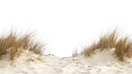 Obraz na płótnie Canvas PNG Beach sand dune horizon nature grass.