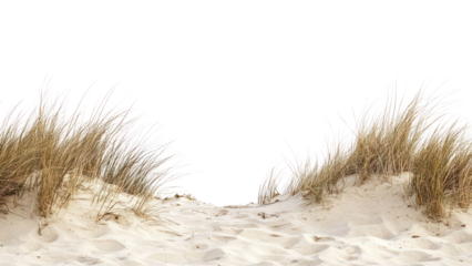 PNG Beach sand dune horizon nature grass.
