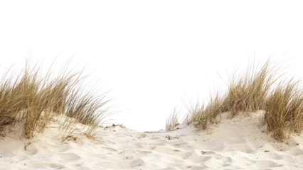 Fototapete Dünengras PNG Beach sand dune horizon nature grass.  © Rawpixel.com