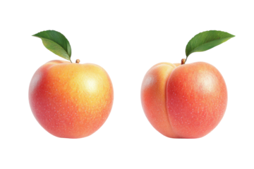 A tempting pair of peaches glistening with morning dew promising juicy sweetness against a stark black backdrop showcasing crisp detailing