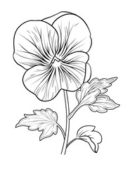 Pansy Flower Coloring Page – Delicate Floral Illustration