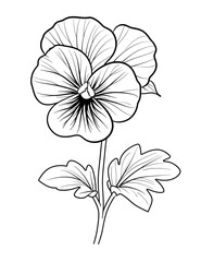 Pansy Flower Coloring Page – Delicate Floral Illustration
