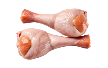 raw chicken breast isolated