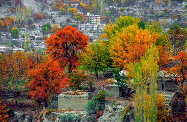 Rolling grassy terrain with fallen leaves; mountains in the background