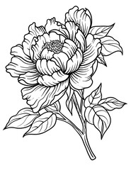Peony Flower Coloring Pages – Detailed Floral Art for Relaxation