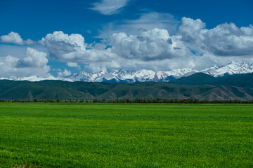Picturesque mountain landscape with green meadow in summer